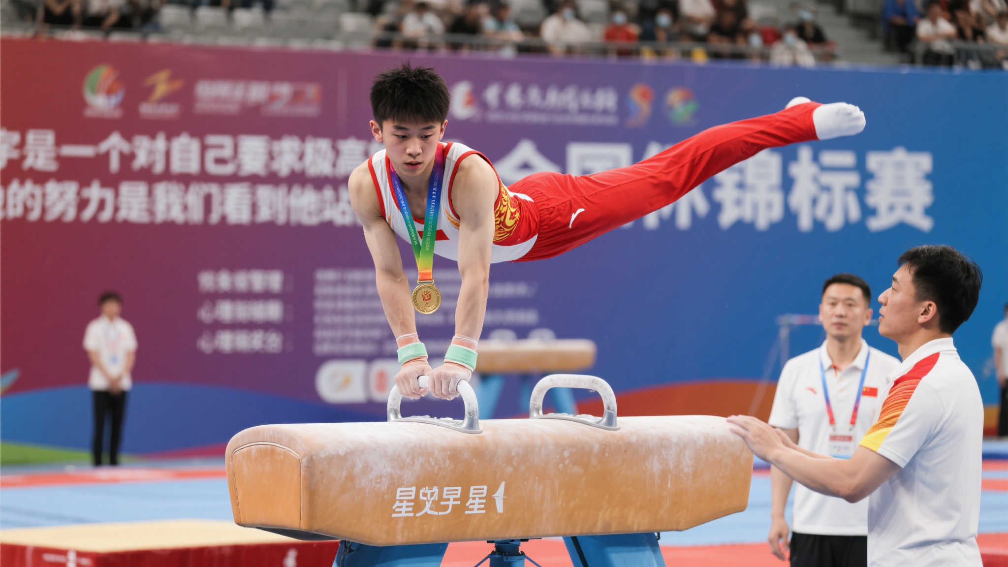 杨晨