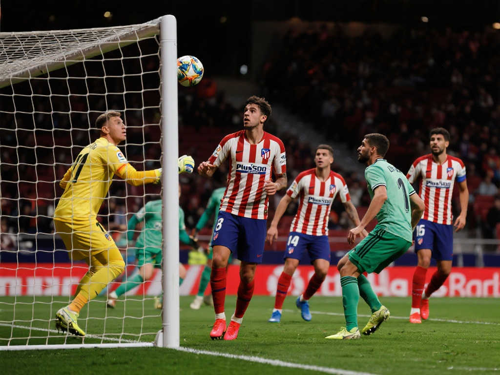 他们希望通 他们希望通